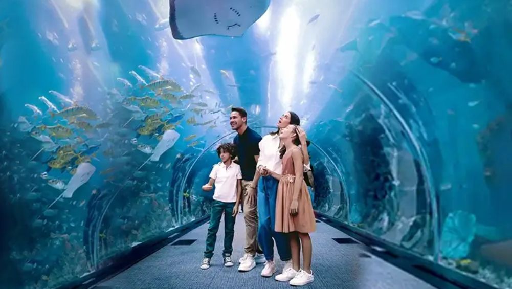 Underwater Zoo